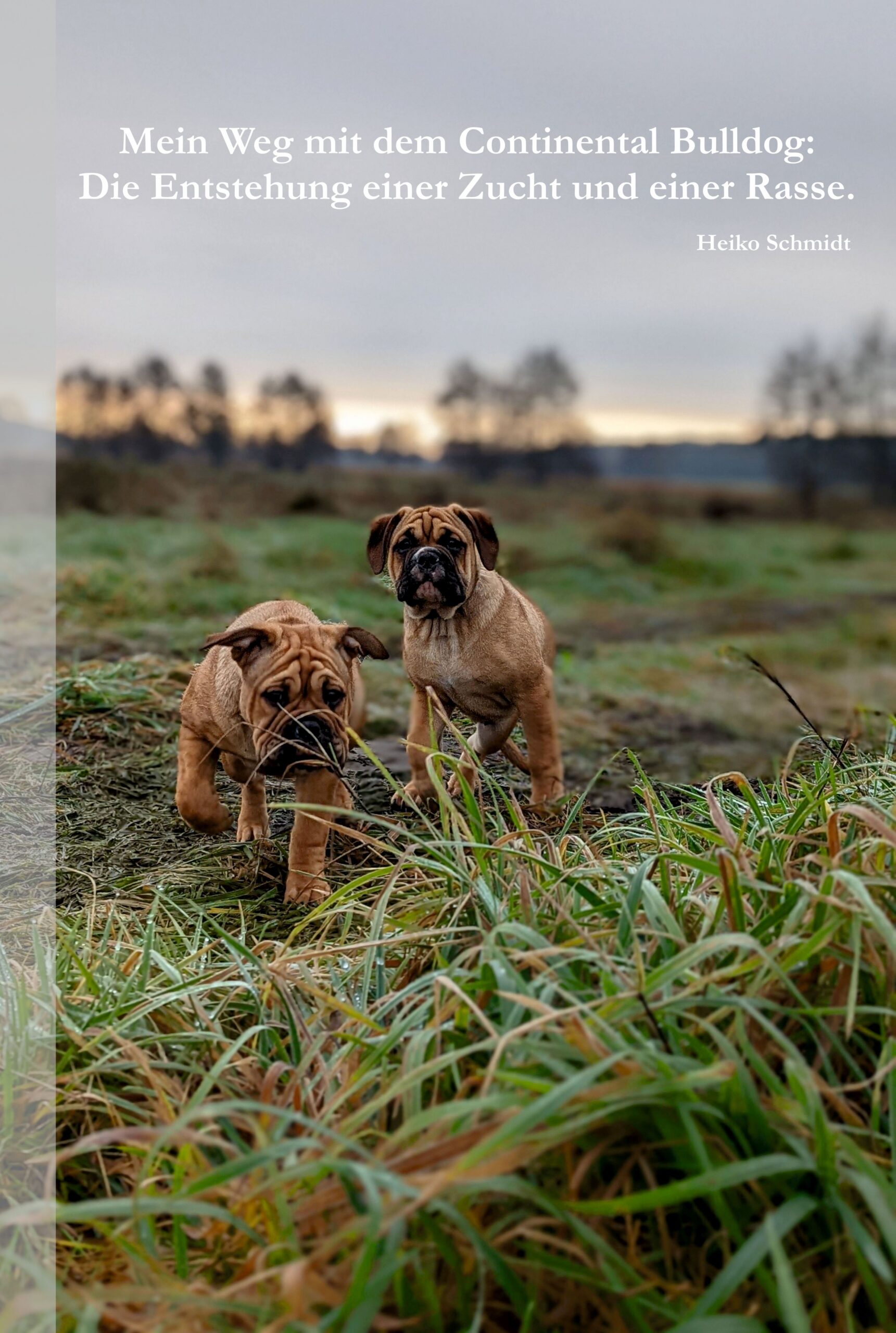 Mein Weg mit dem Continental Bulldog – Die Entstehung einer Zucht und einer Rasse